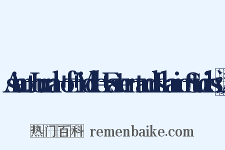 Asian+Journal+of+Middle+Eastern+and+Islamic+Studies近义词是什么意思的图片